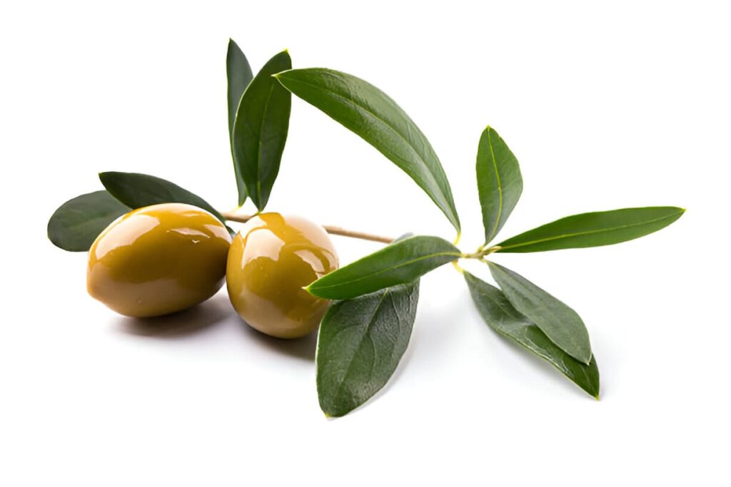 italian extra virgin olive oil